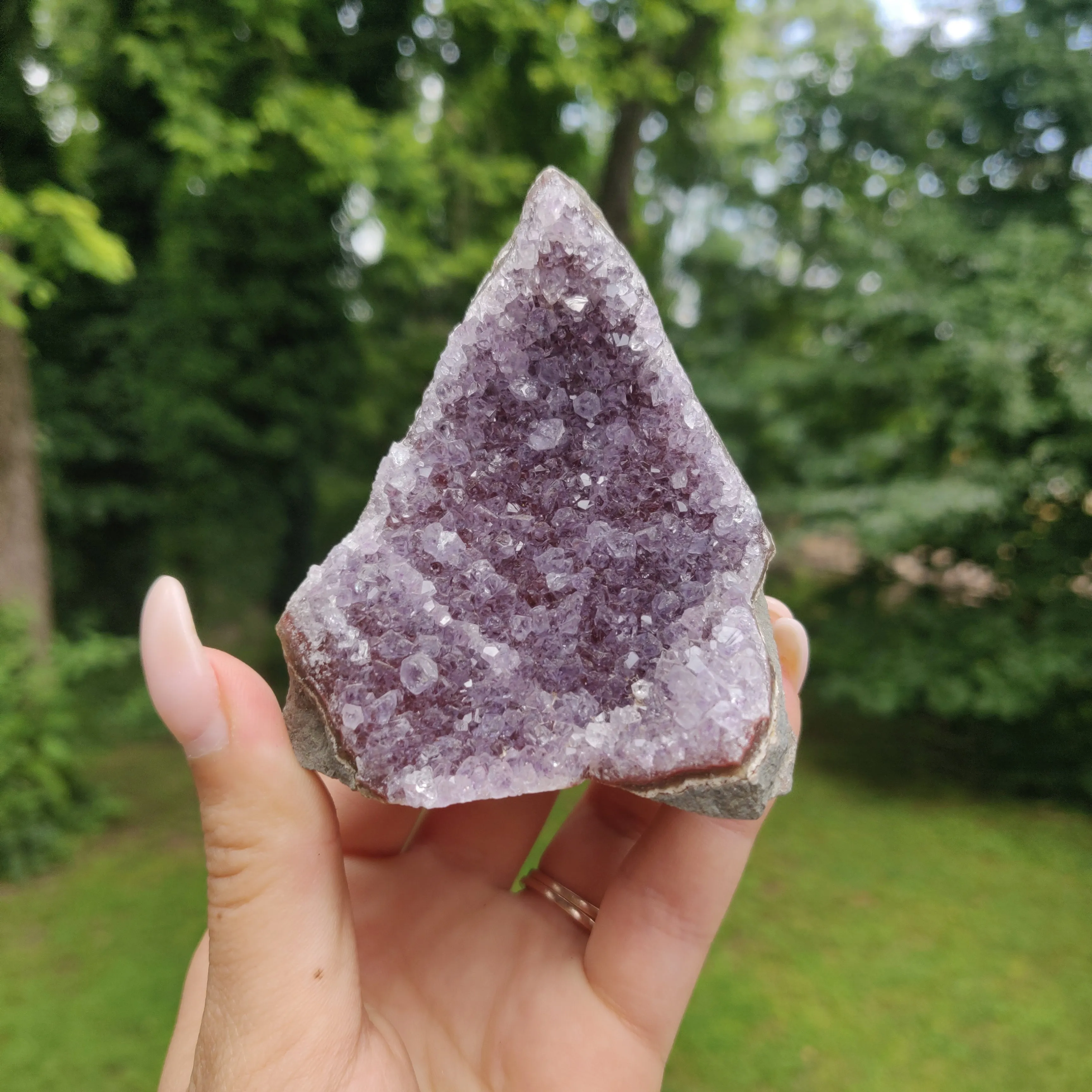 Amethyst Geode Free Form, Cut Base (#12)