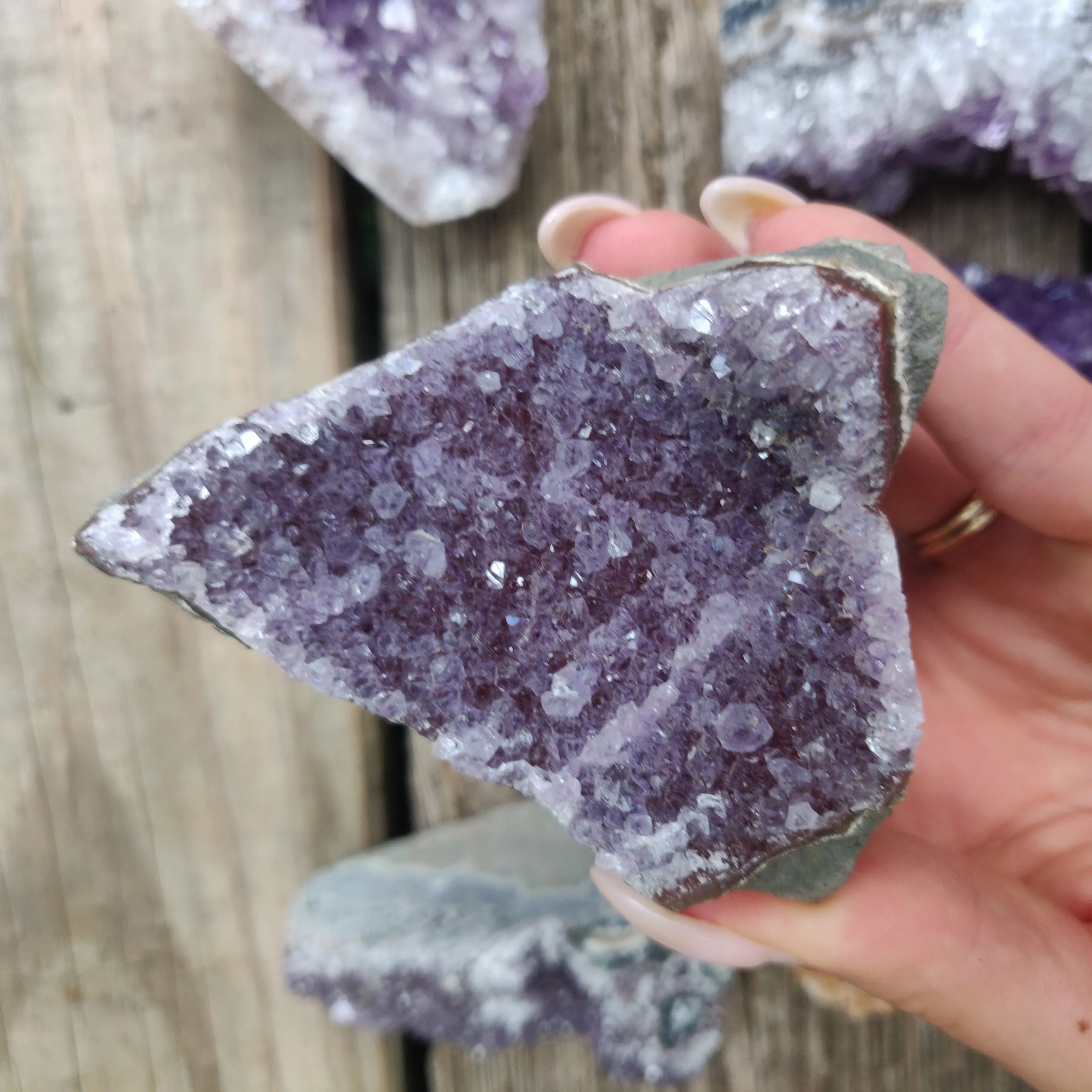 Amethyst Geode Free Form, Cut Base (#12)