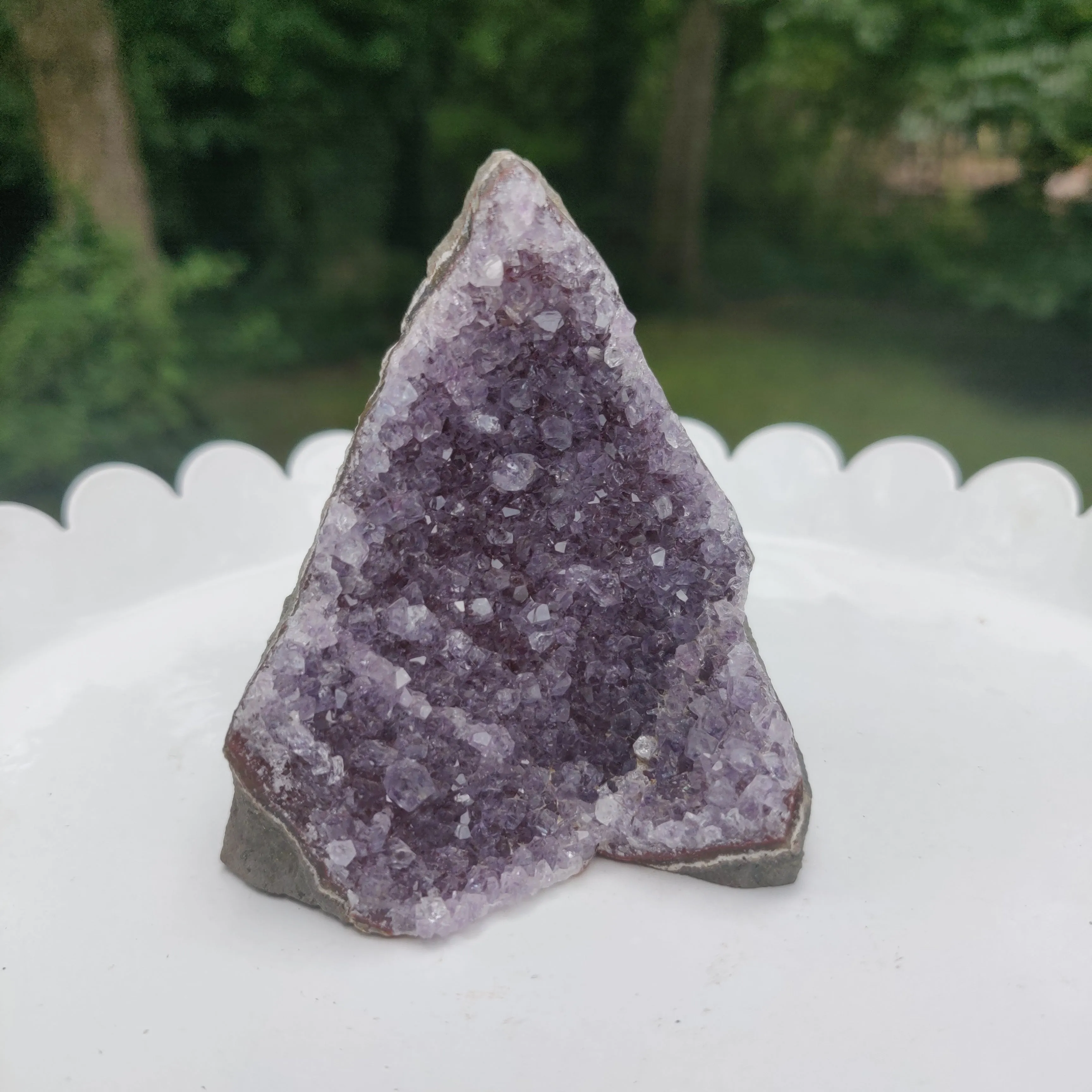 Amethyst Geode Free Form, Cut Base (#12)