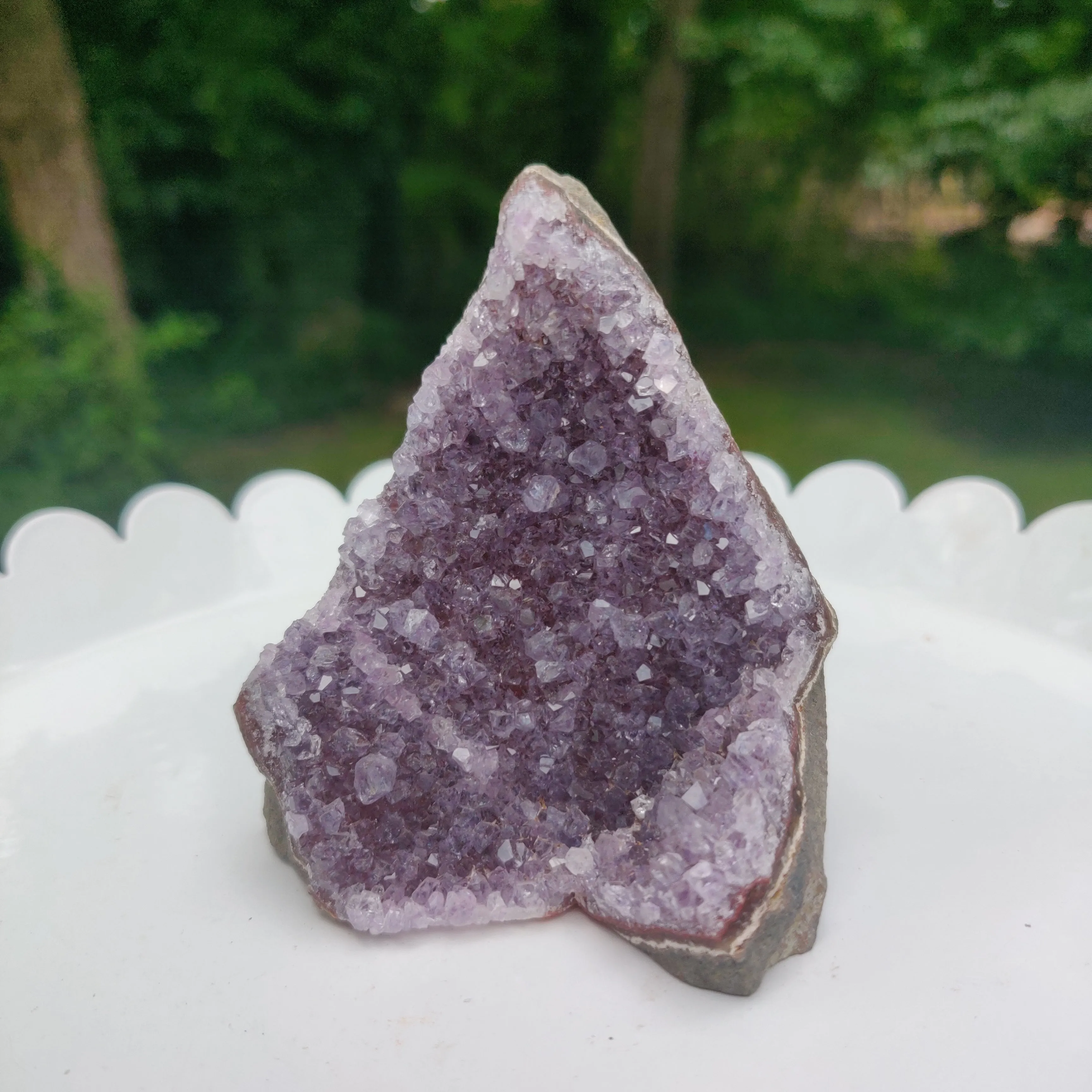 Amethyst Geode Free Form, Cut Base (#12)