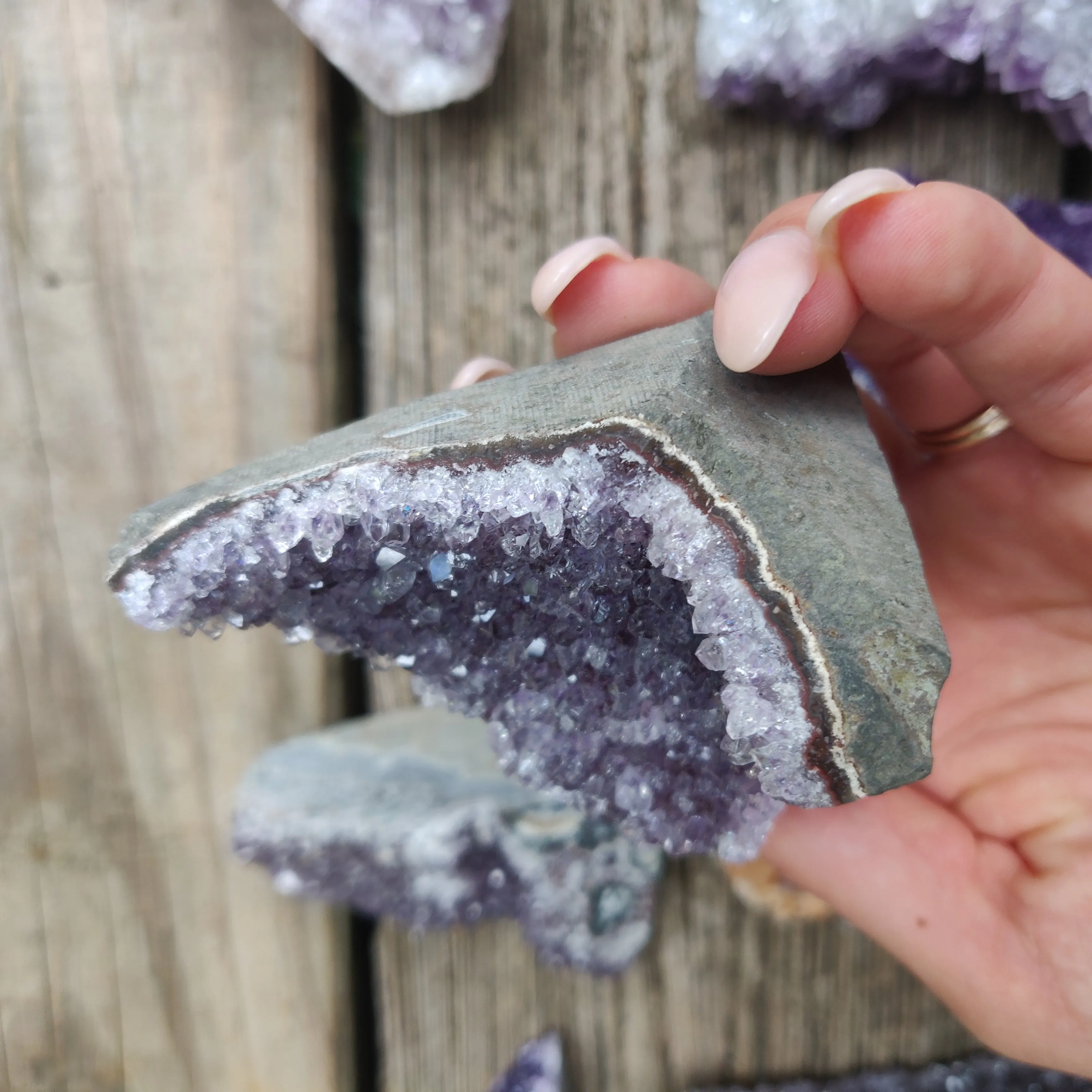 Amethyst Geode Free Form, Cut Base (#12)