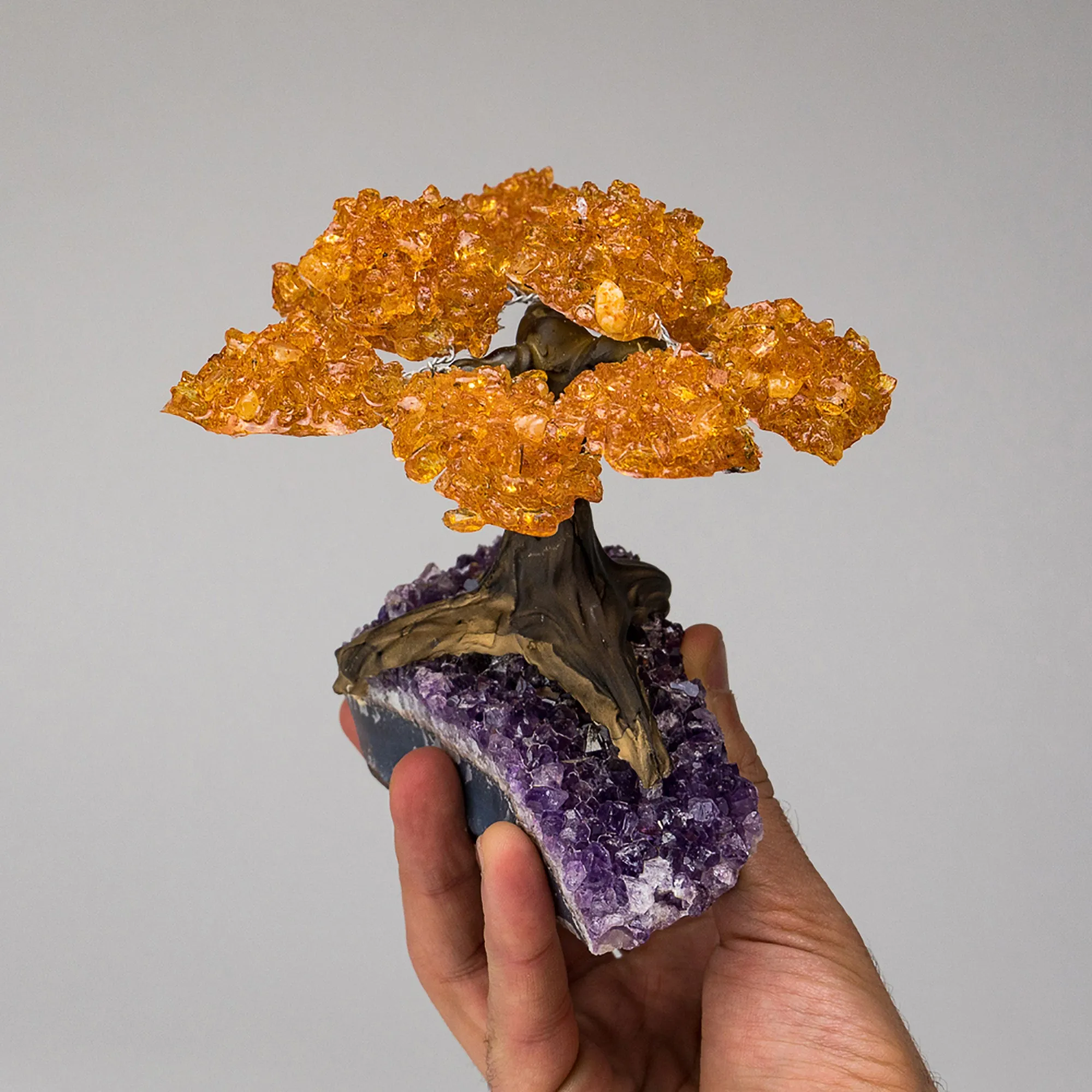 Medium - Genuine Citrine Clustered Gemstone Tree on Amethyst Matrix (The Money Tree)