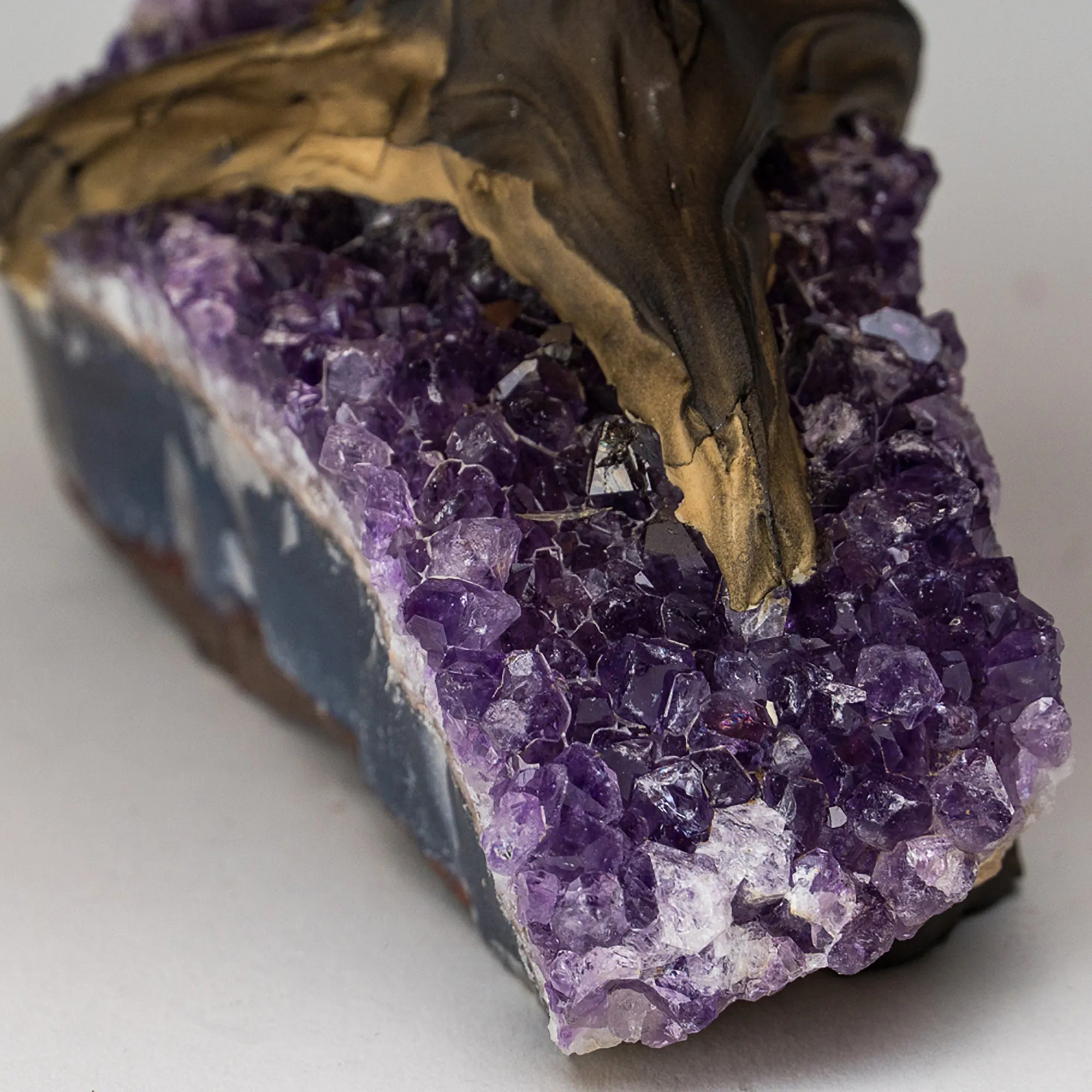 Medium - Genuine Citrine Clustered Gemstone Tree on Amethyst Matrix (The Money Tree)