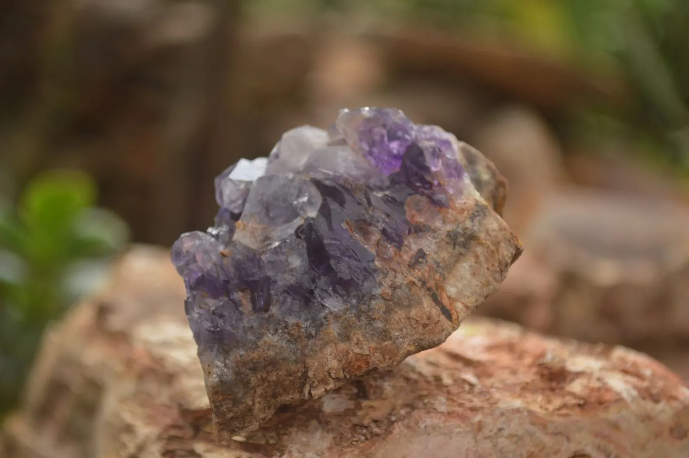 Natural Amethyst & Crystal Centered Geodes x 24 From Zululand, South Africa