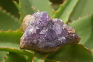 Natural Amethyst & Crystal Centered Geodes x 24 From Zululand, South Africa