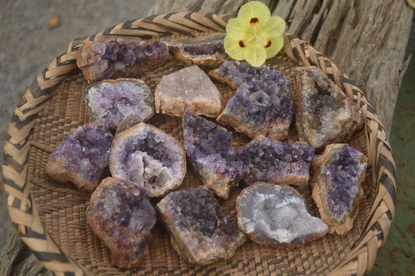 Natural Amethyst & Crystal Centered Geodes x 24 From Zululand, South Africa