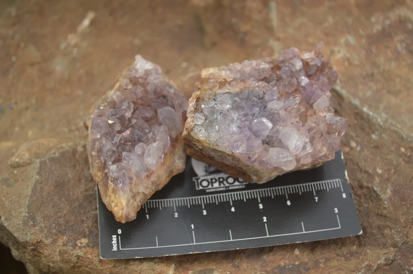 Natural Amethyst & Crystal Centered Geodes x 24 From Zululand, South Africa