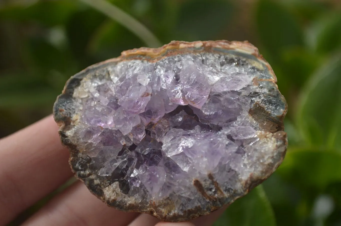 Natural Amethyst & Crystal Centered Geodes x 24 From Zululand, South Africa