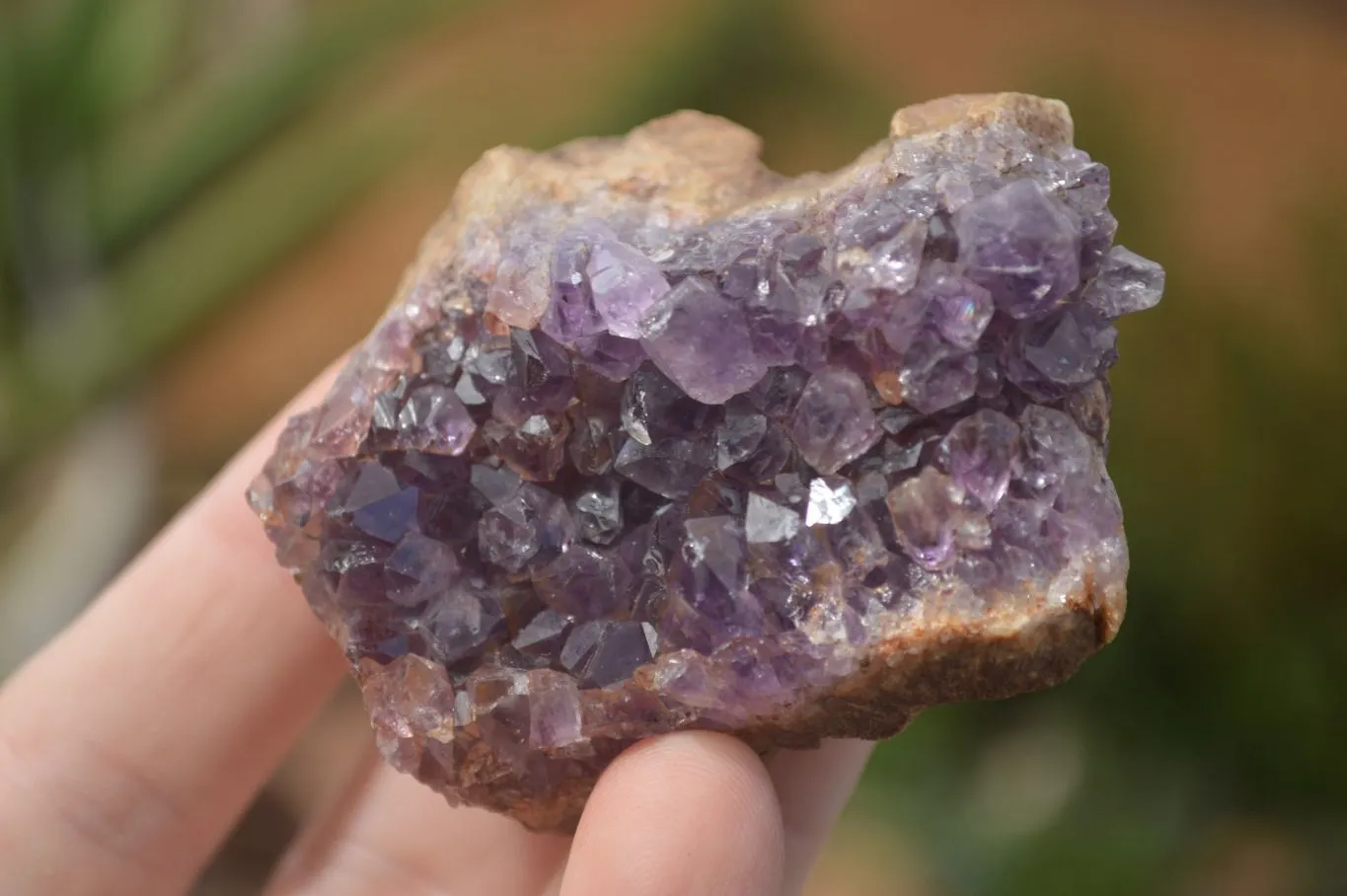 Natural Amethyst & Crystal Centered Geodes x 24 From Zululand, South Africa