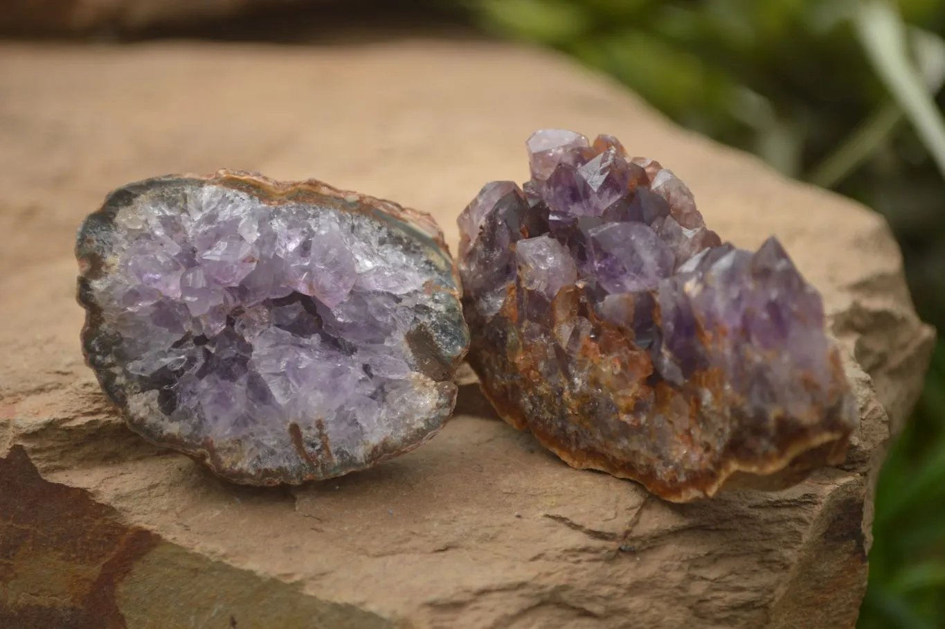 Natural Amethyst & Crystal Centered Geodes x 24 From Zululand, South Africa