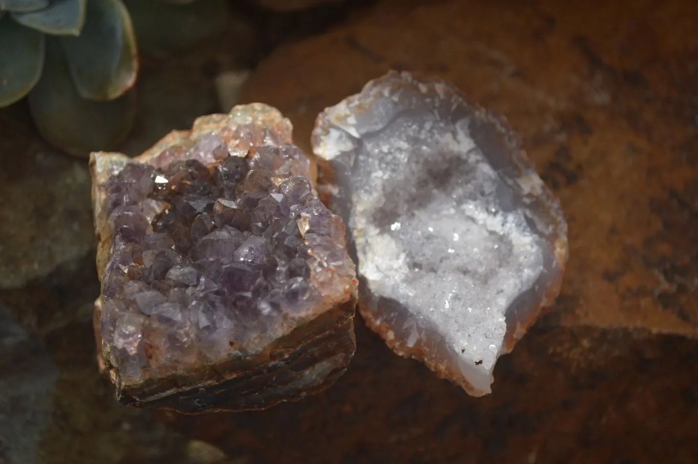 Natural Amethyst & Crystal Centered Geodes x 24 From Zululand, South Africa