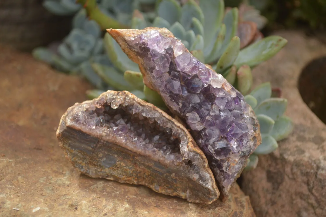 Natural Amethyst & Crystal Centered Geodes x 24 From Zululand, South Africa