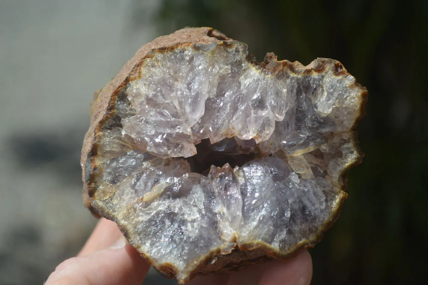 Natural Amethyst In Basalt Geode Specimens x 6 From Zululand, South Africa