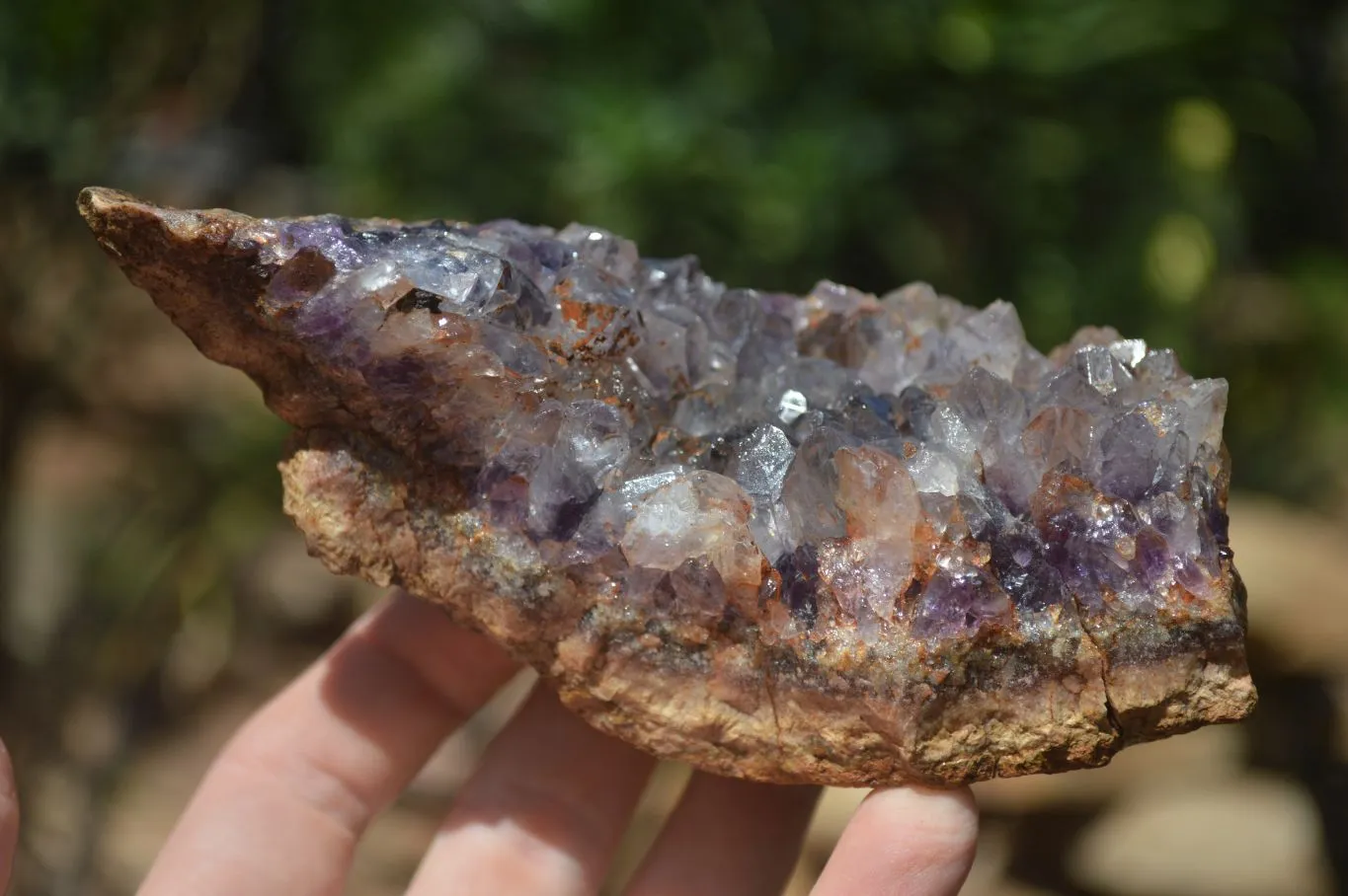 Natural Amethyst In Basalt Geode Specimens x 6 From Zululand, South Africa