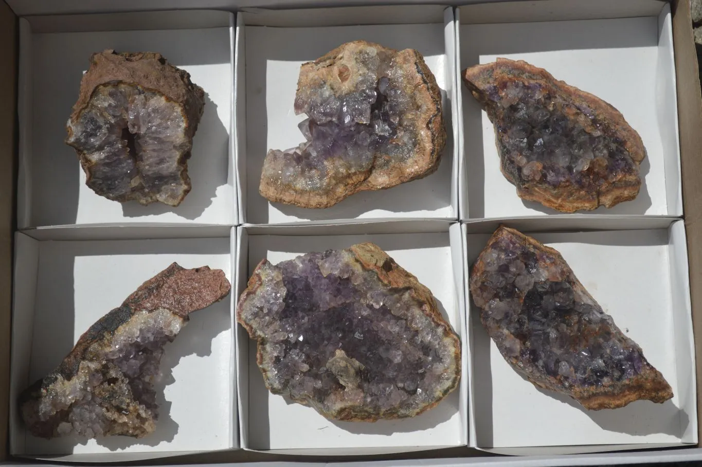 Natural Amethyst In Basalt Geode Specimens x 6 From Zululand, South Africa