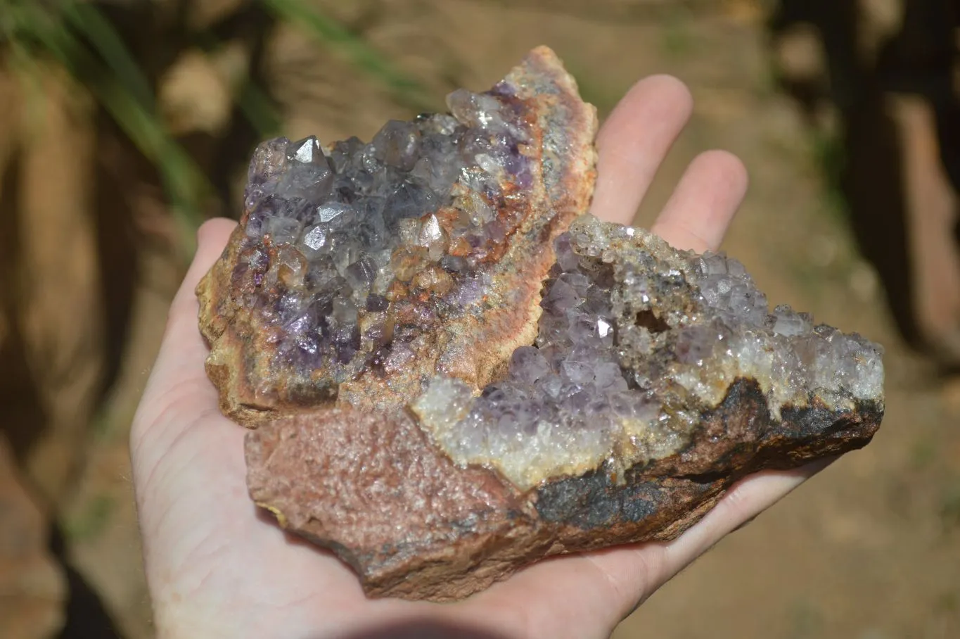 Natural Amethyst In Basalt Geode Specimens x 6 From Zululand, South Africa