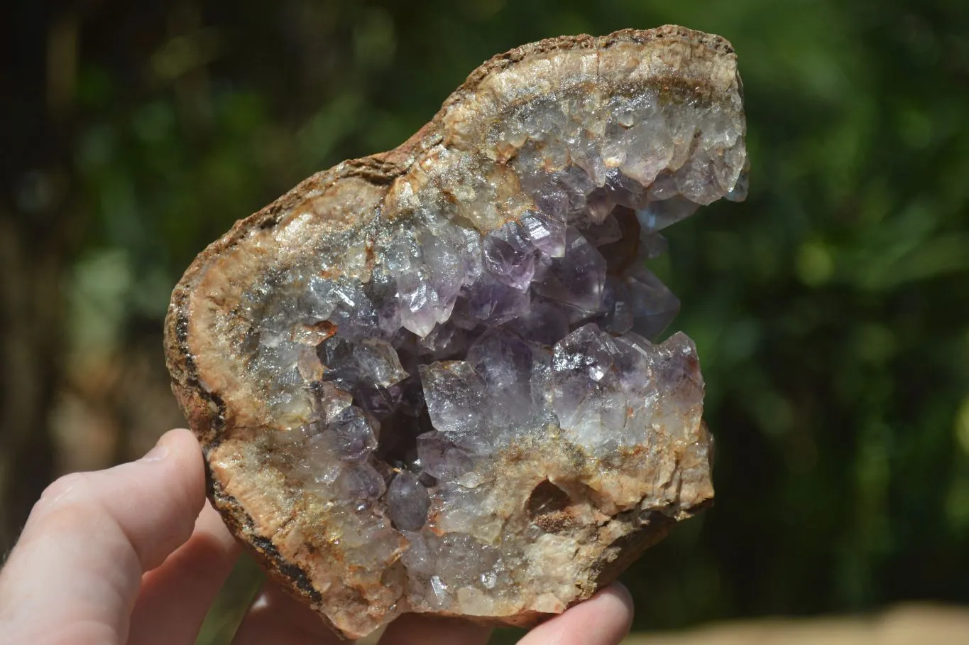 Natural Amethyst In Basalt Geode Specimens x 6 From Zululand, South Africa