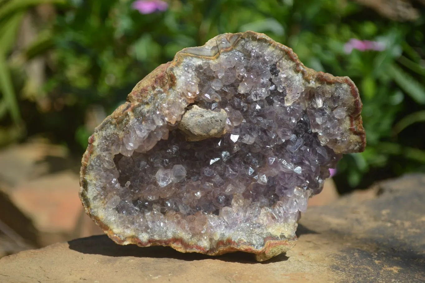 Natural Amethyst In Basalt Geode Specimens x 6 From Zululand, South Africa