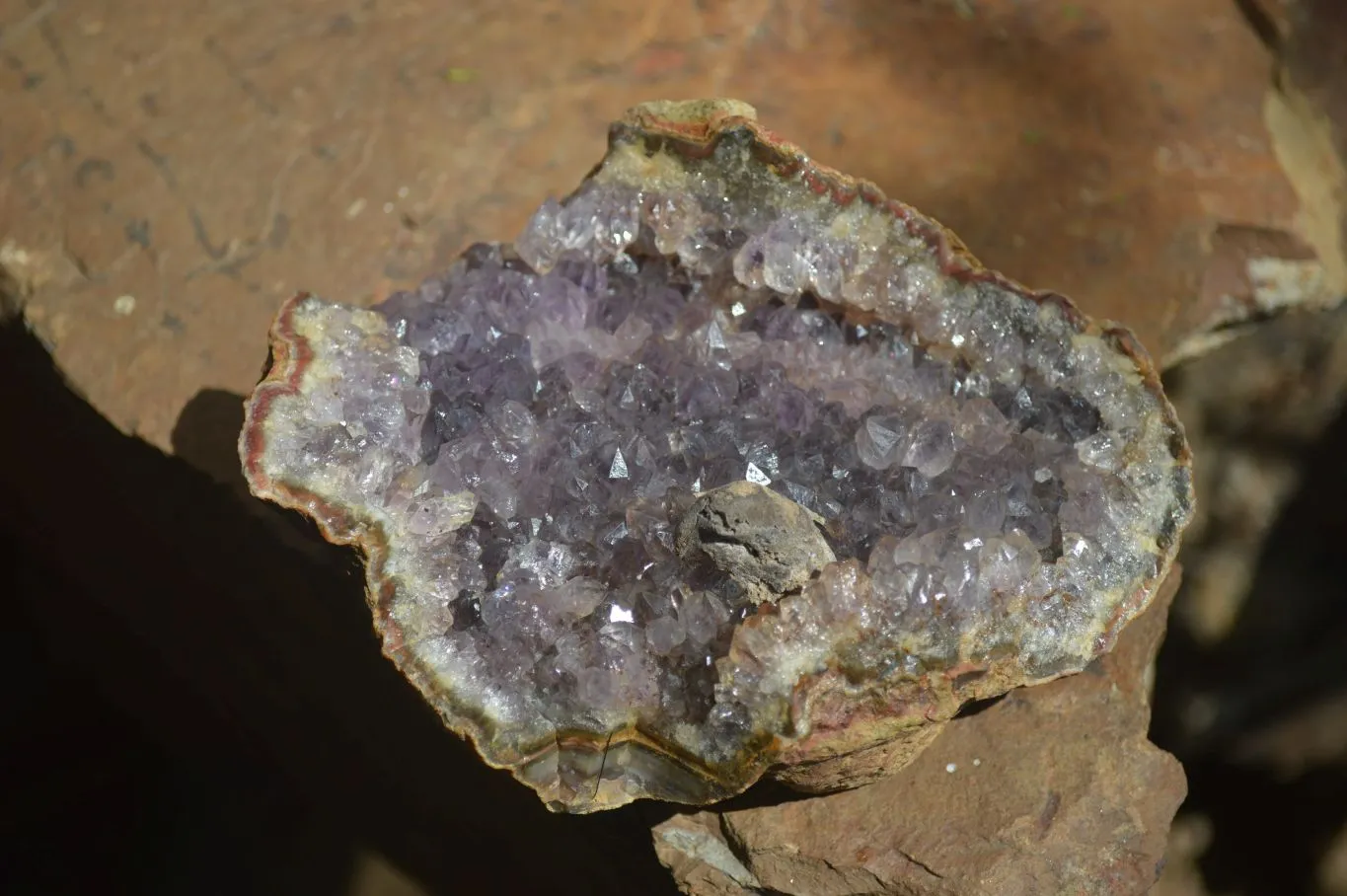 Natural Amethyst In Basalt Geode Specimens x 6 From Zululand, South Africa