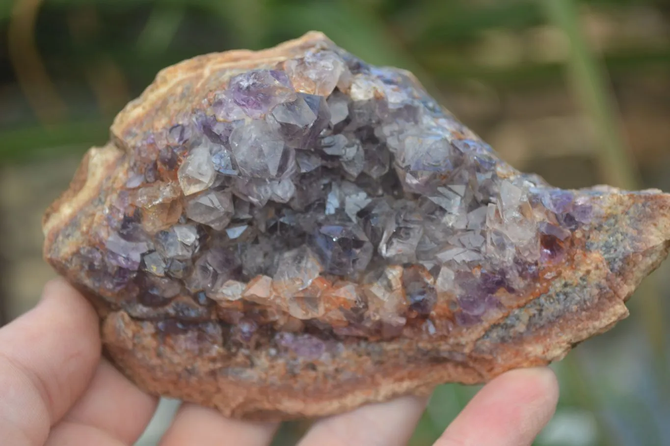 Natural Amethyst In Basalt Geode Specimens x 6 From Zululand, South Africa