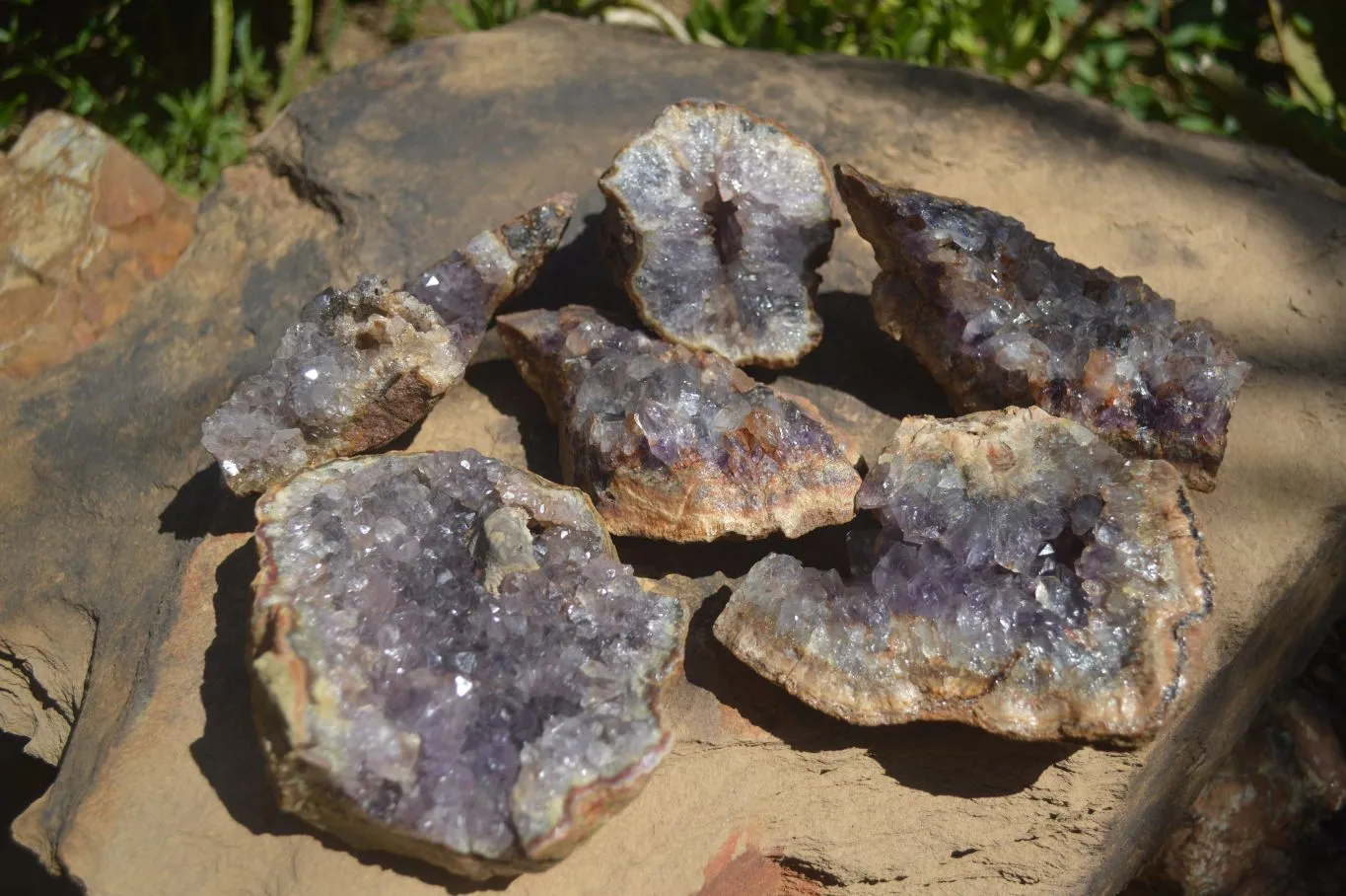 Natural Amethyst In Basalt Geode Specimens x 6 From Zululand, South Africa