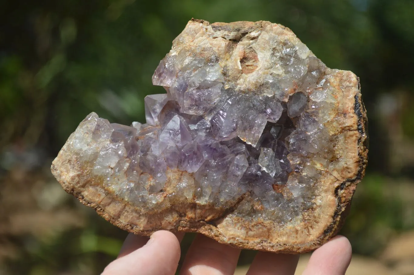 Natural Amethyst In Basalt Geode Specimens x 6 From Zululand, South Africa