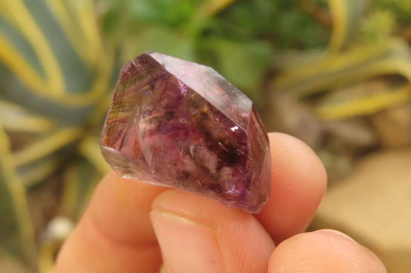 Natural Amethyst Quartz Crystals x 35 From Chiredzi, Zimbabwe