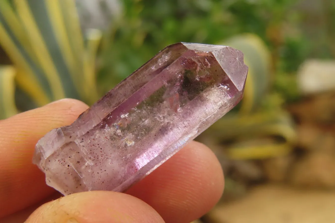 Natural Amethyst Quartz Crystals x 35 From Chiredzi, Zimbabwe