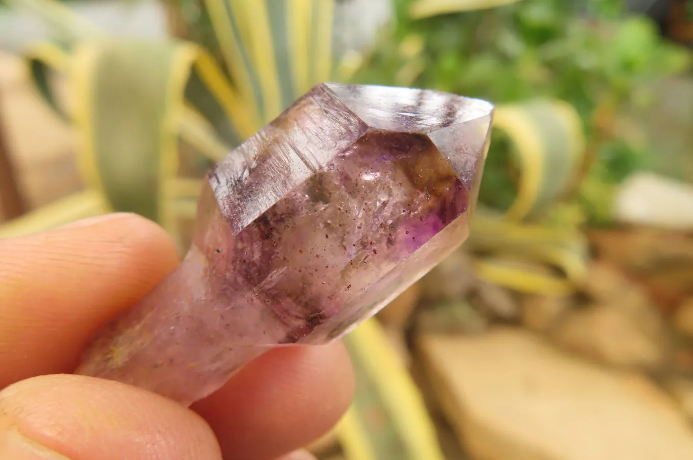 Natural Amethyst Quartz Crystals x 35 From Chiredzi, Zimbabwe