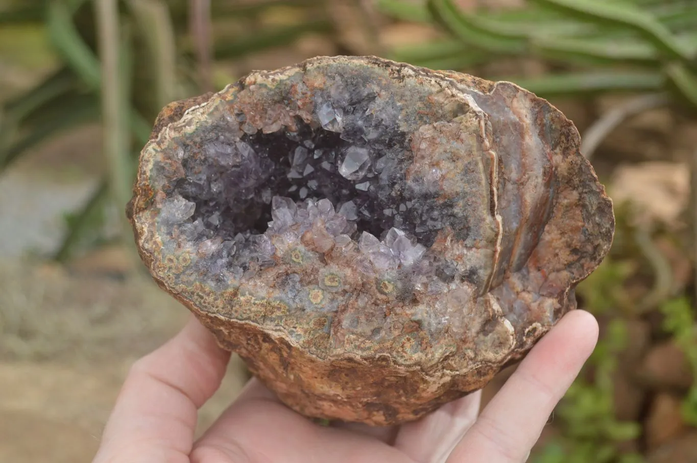 Natural Crystal Centred Amethyst Geode Specimens x 4 From Zululand, South Africa