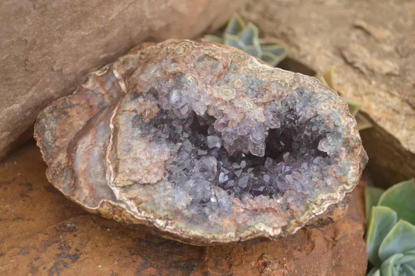 Natural Crystal Centred Amethyst Geode Specimens x 4 From Zululand, South Africa