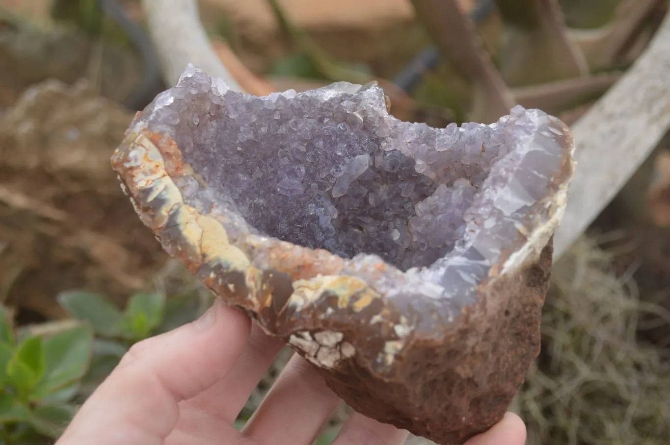 Natural Crystal Centred Amethyst Geode Specimens x 4 From Zululand, South Africa