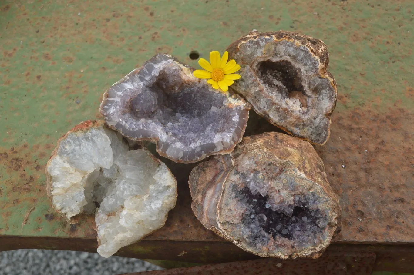 Natural Crystal Centred Amethyst Geode Specimens x 4 From Zululand, South Africa