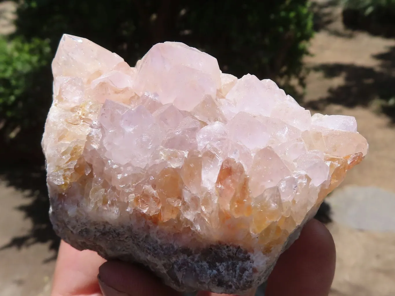 Natural Mixed Spirit Quartz Clusters x 9 From Boekenhouthoek, South Africa