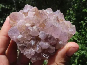 Natural Mixed Spirit Quartz Clusters x 9 From Boekenhouthoek, South Africa