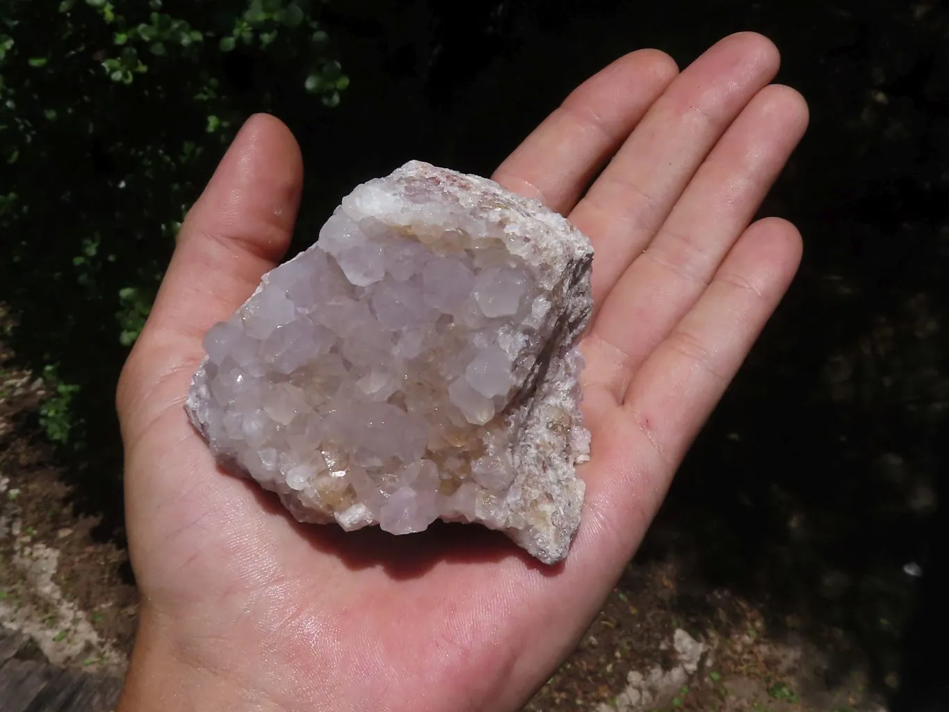 Natural Mixed Spirit Quartz Clusters x 9 From Boekenhouthoek, South Africa