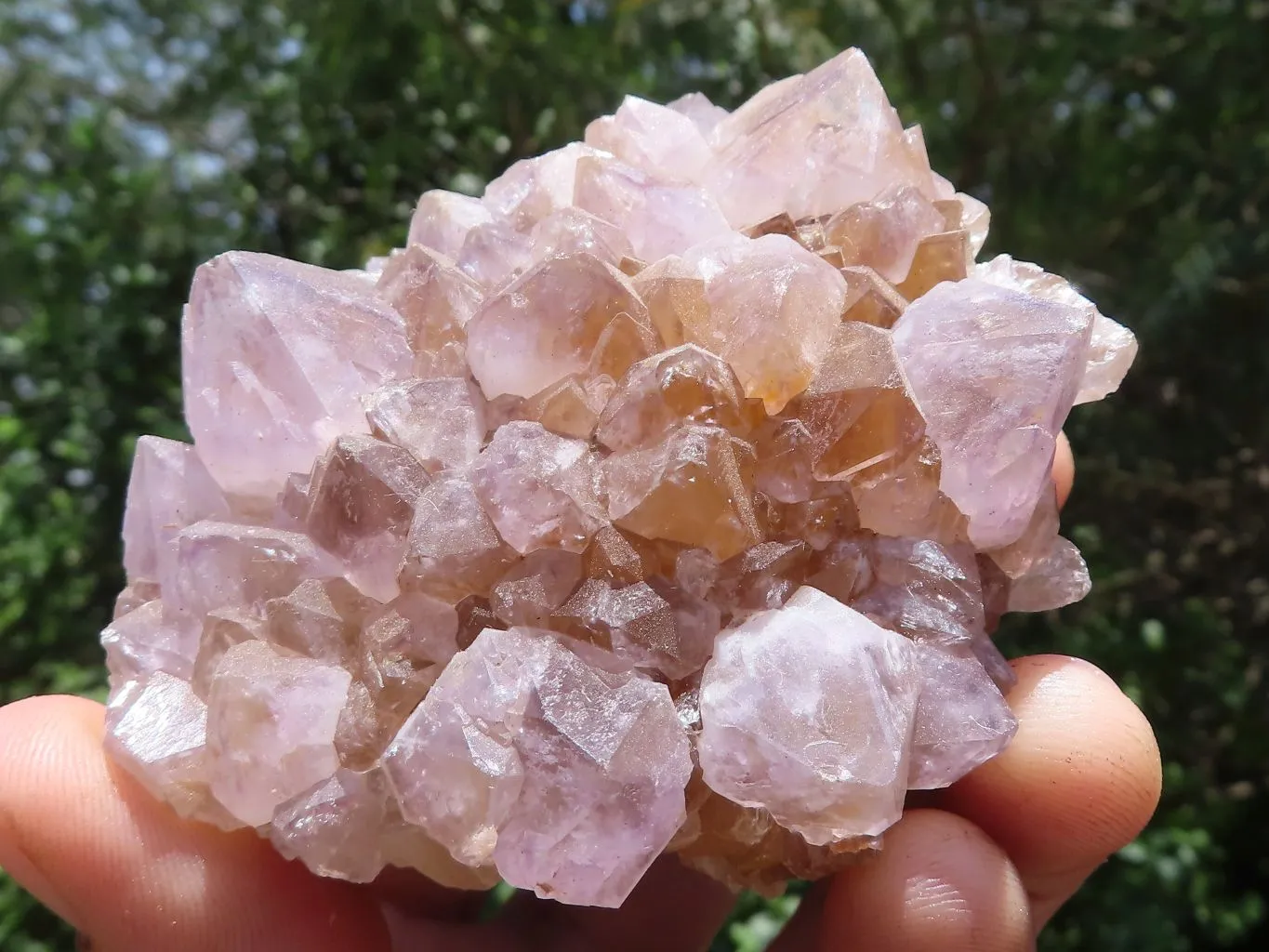 Natural Mixed Spirit Quartz Clusters x 9 From Boekenhouthoek, South Africa