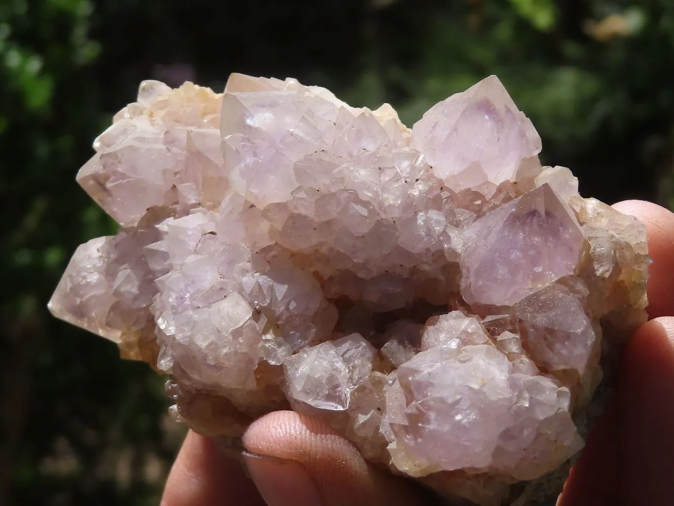 Natural Mixed Spirit Quartz Clusters x 9 From Boekenhouthoek, South Africa