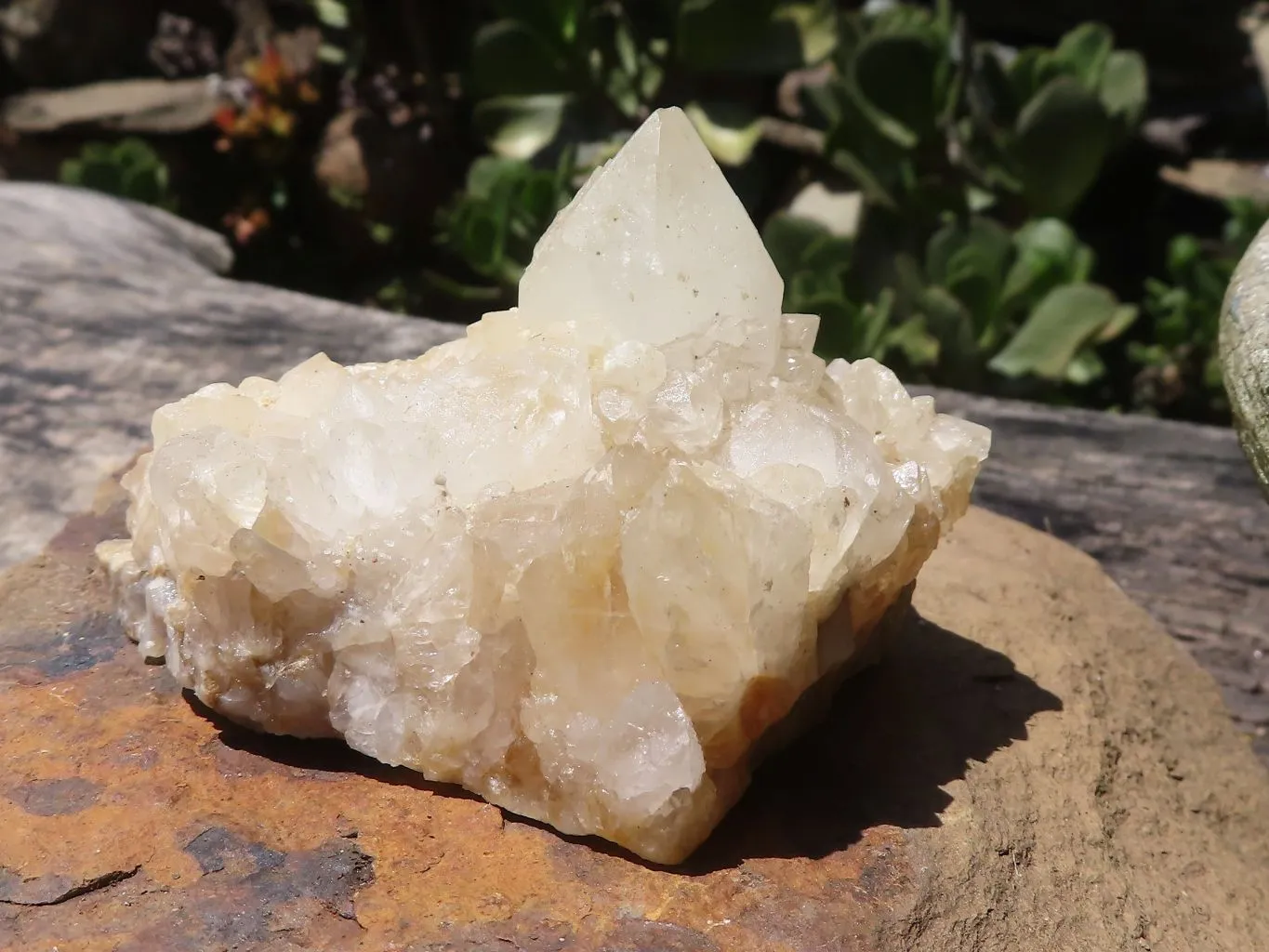 Natural Mixed Spirit Quartz Clusters x 9 From Boekenhouthoek, South Africa