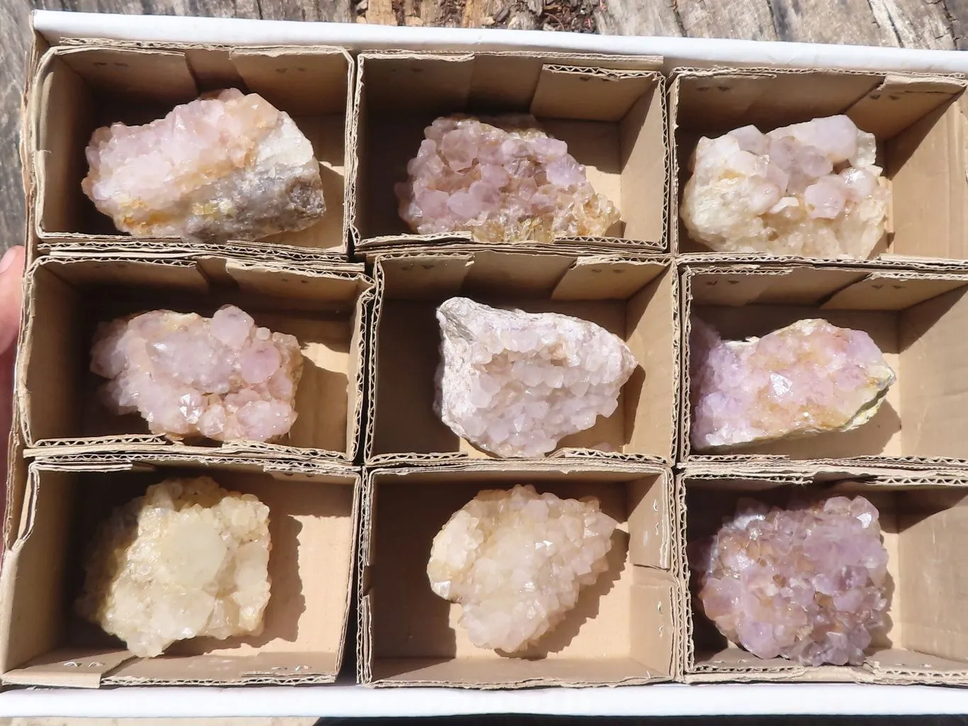 Natural Mixed Spirit Quartz Clusters x 9 From Boekenhouthoek, South Africa