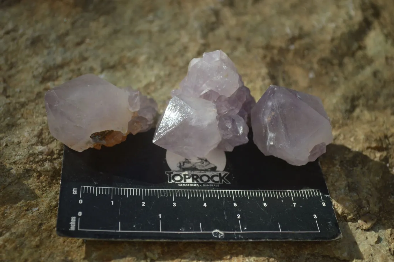 Natural Single Spirit Amethyst Quartz Crystals x 70 From Boekenhouthoek, South Africa