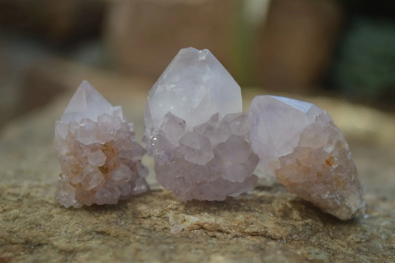 Natural Single Spirit Amethyst Quartz Crystals x 70 From Boekenhouthoek, South Africa