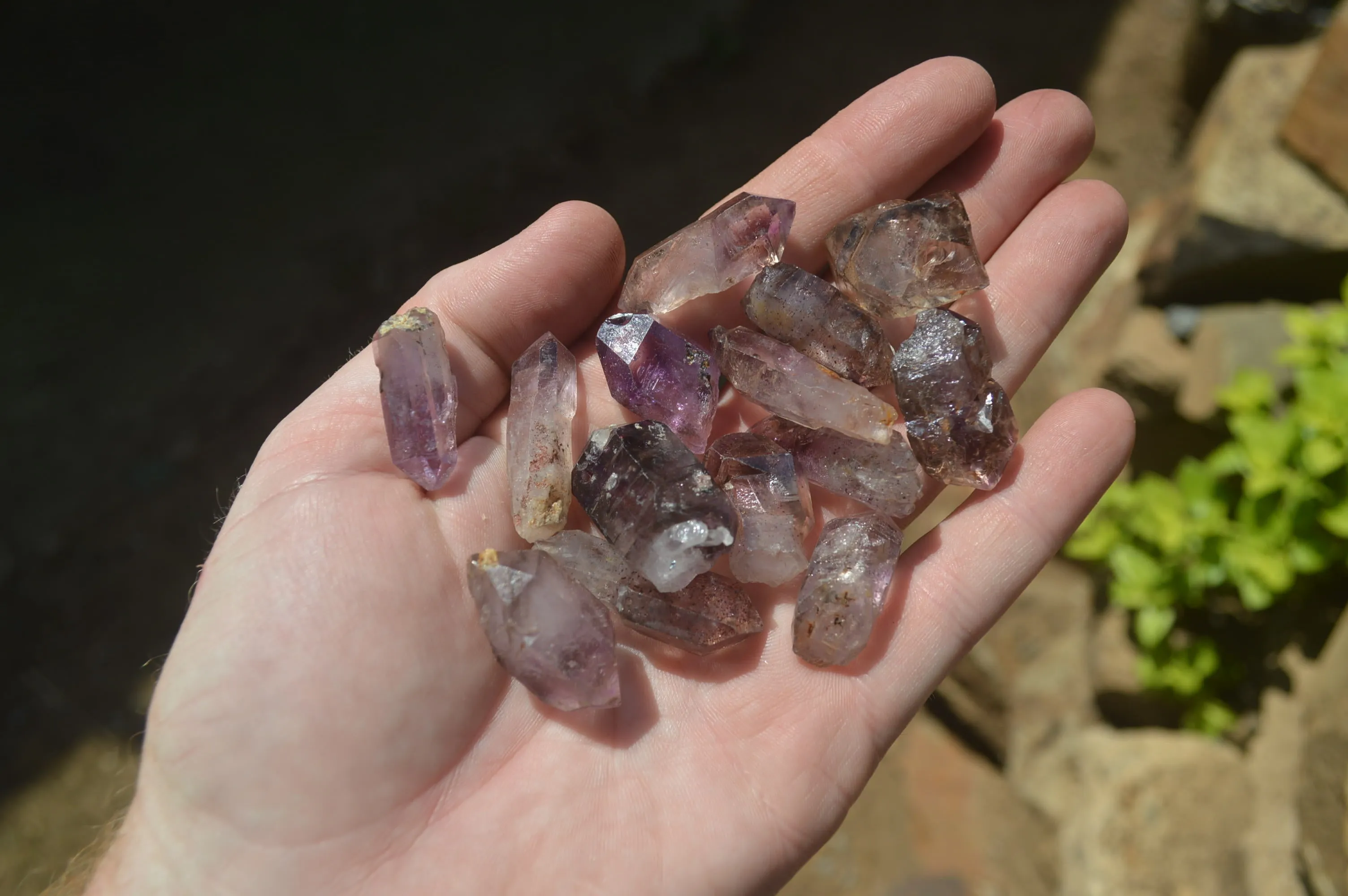 Natural Smokey Window Amethyst Crystals x 70 From Chiredzi, Zimbabwe