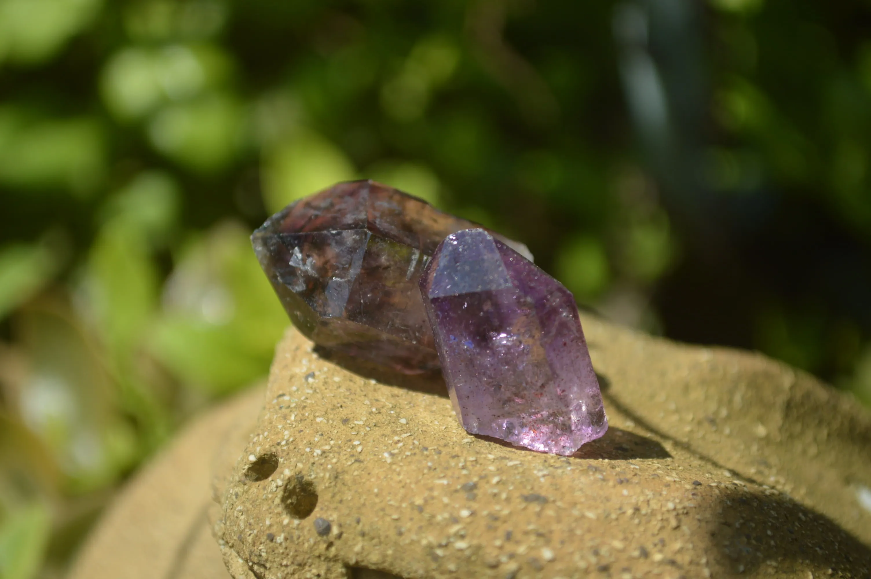 Natural Smokey Window Amethyst Crystals x 70 From Chiredzi, Zimbabwe