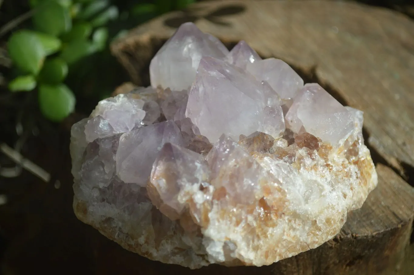 Natural Spirit Amethyst Quartz Clusters x 4 From Boekenhouthoek, South Africa