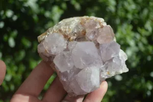 Natural Spirit Amethyst Quartz Clusters x 4 From Boekenhouthoek, South Africa