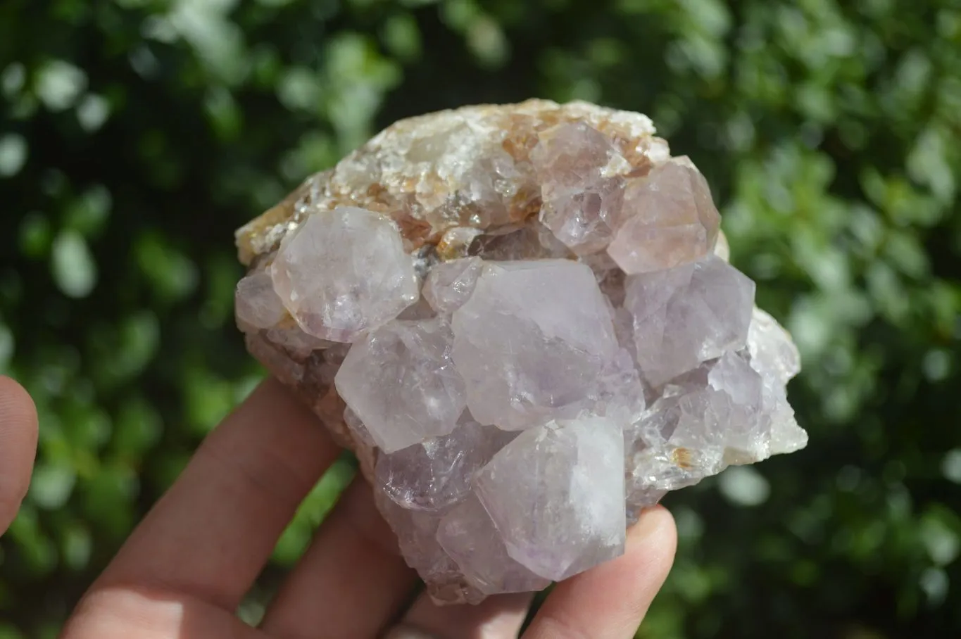 Natural Spirit Amethyst Quartz Clusters x 4 From Boekenhouthoek, South Africa