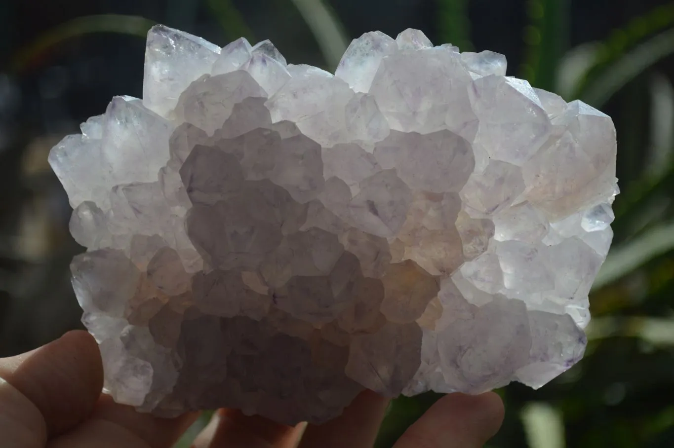 Natural Spirit Amethyst Quartz Clusters x 4 From Boekenhouthoek, South Africa