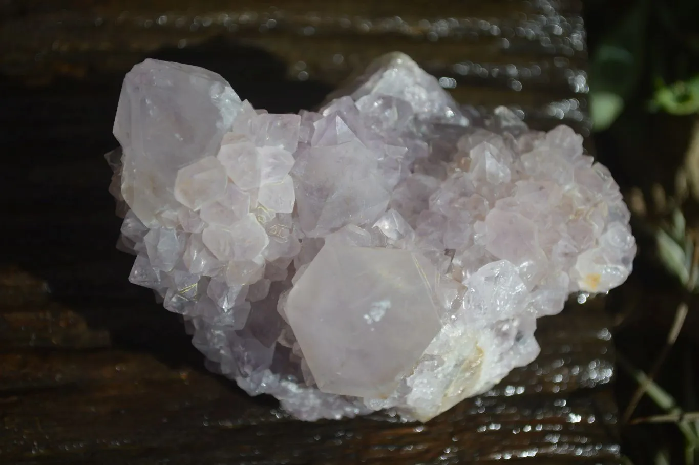 Natural Spirit Amethyst Quartz Clusters x 4 From Boekenhouthoek, South Africa