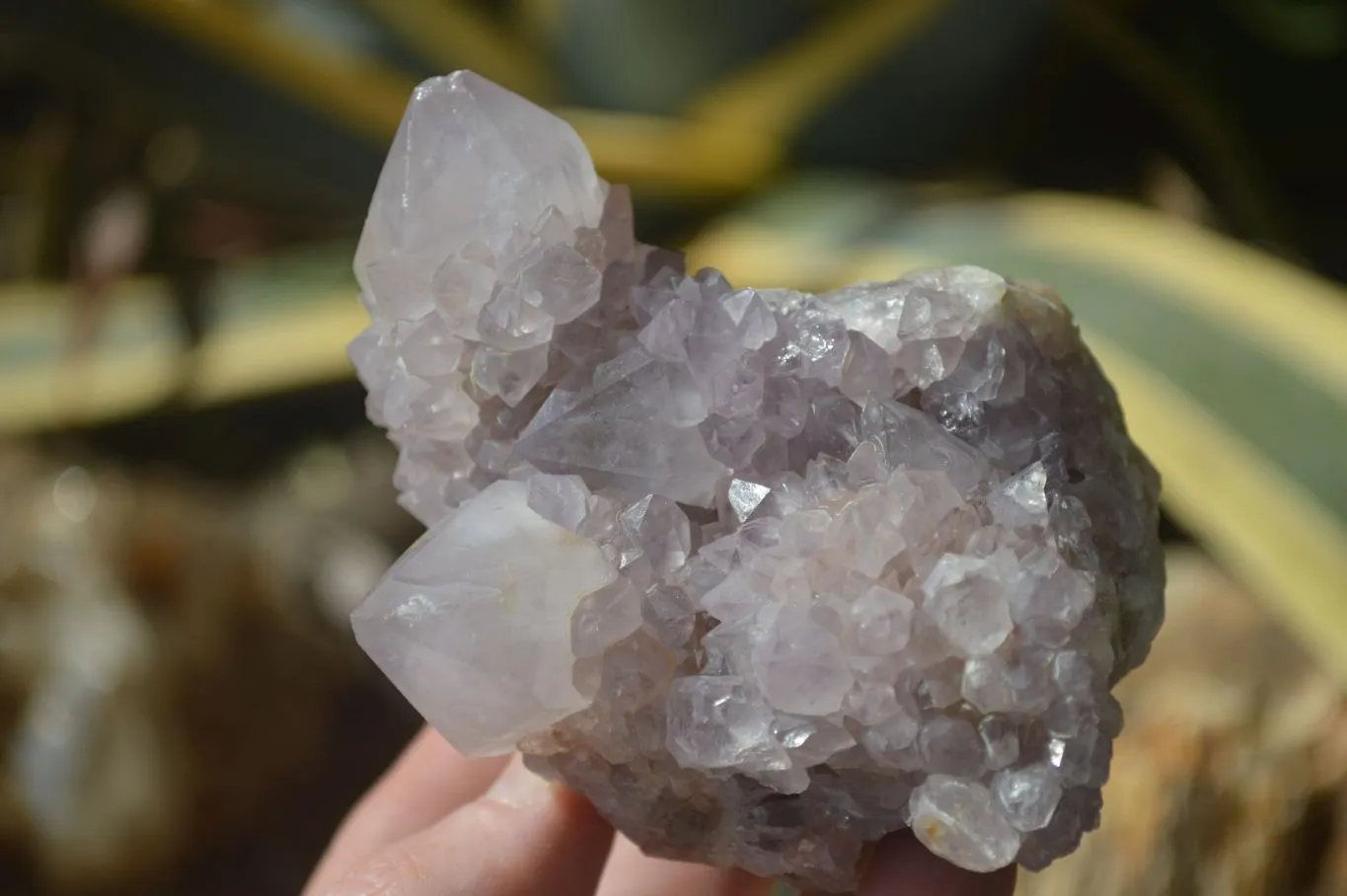 Natural Spirit Amethyst Quartz Clusters x 4 From Boekenhouthoek, South Africa